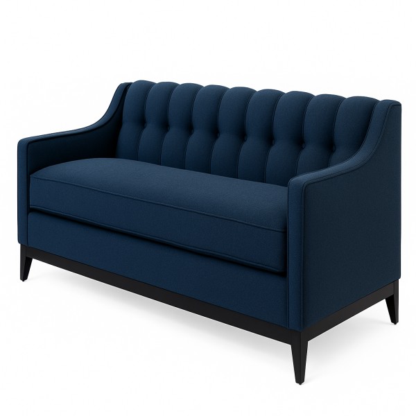 blue colour sofa