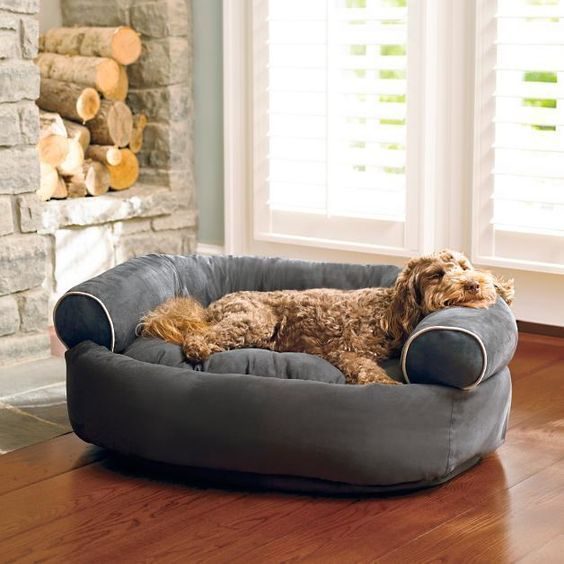 Suhaus-For Pet-Serene